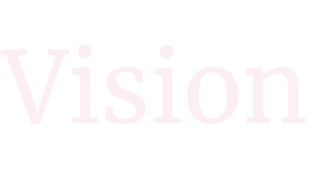 Vision
